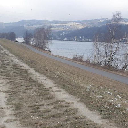 Apartment An Der Donau Krumnussbaum Экстерьер фото