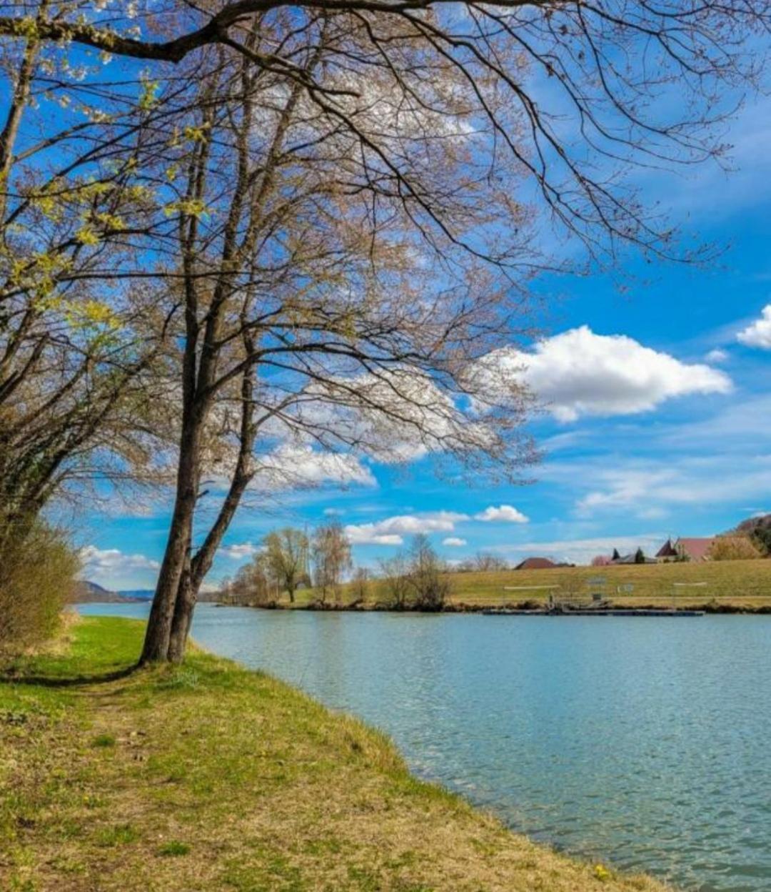 Apartment An Der Donau Krumnussbaum Экстерьер фото