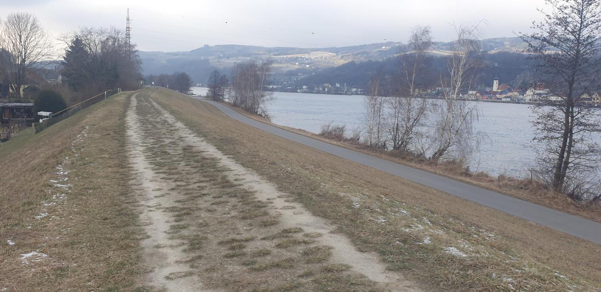 Apartment An Der Donau Krumnussbaum Экстерьер фото